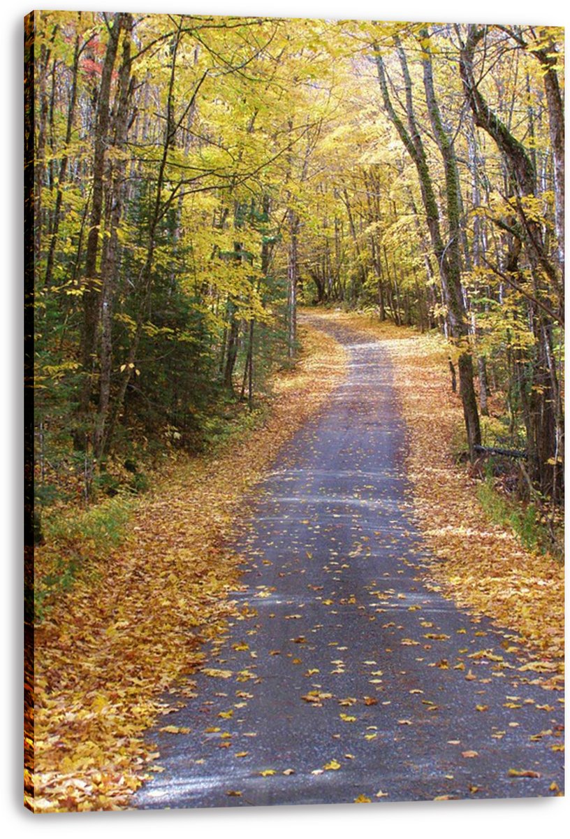 Autumn Forest Path Decorative Painting (paper and canvas) art poster printing print