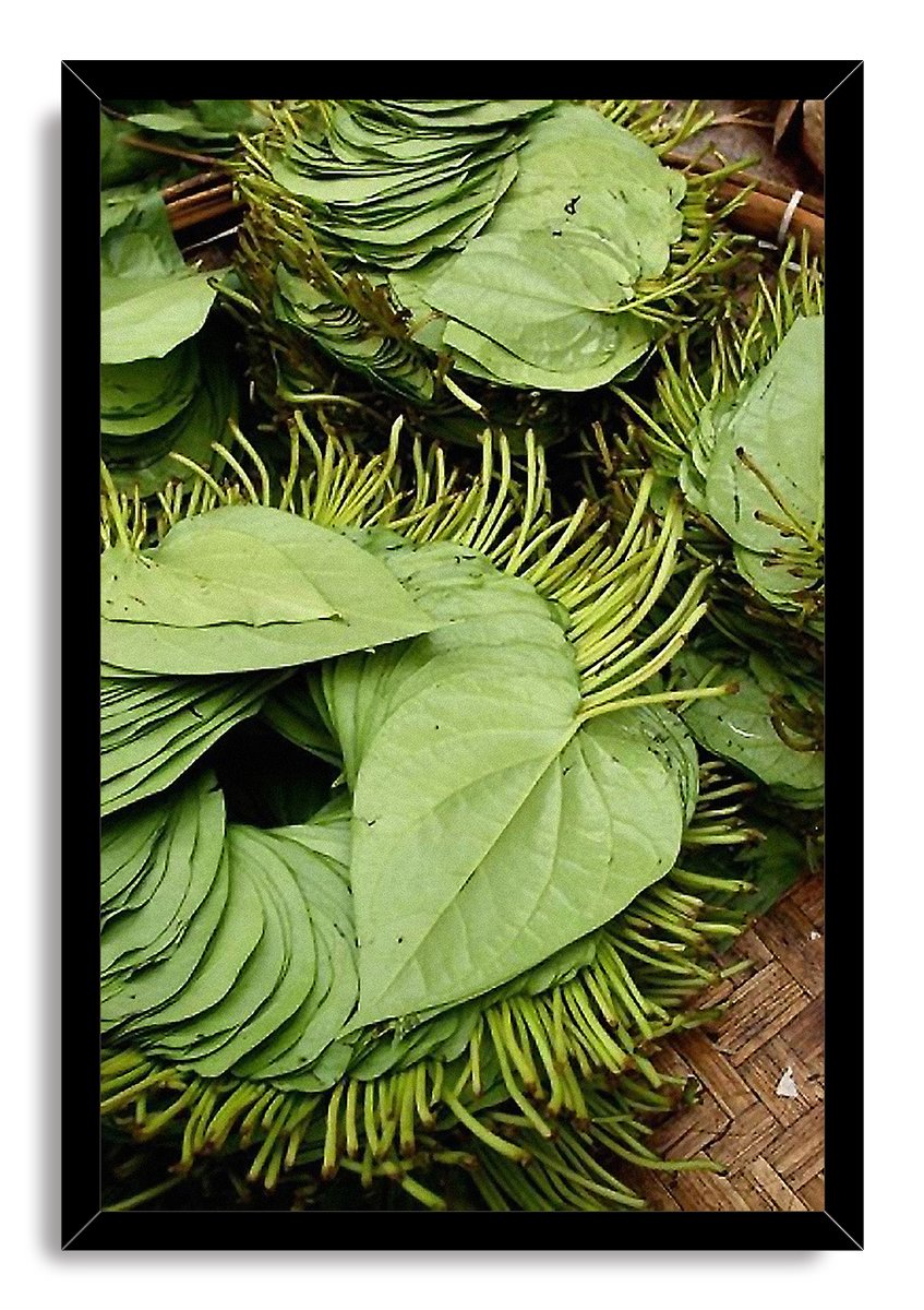 Betel Leaves Decorative Painting (paper and canvas) art poster printing print