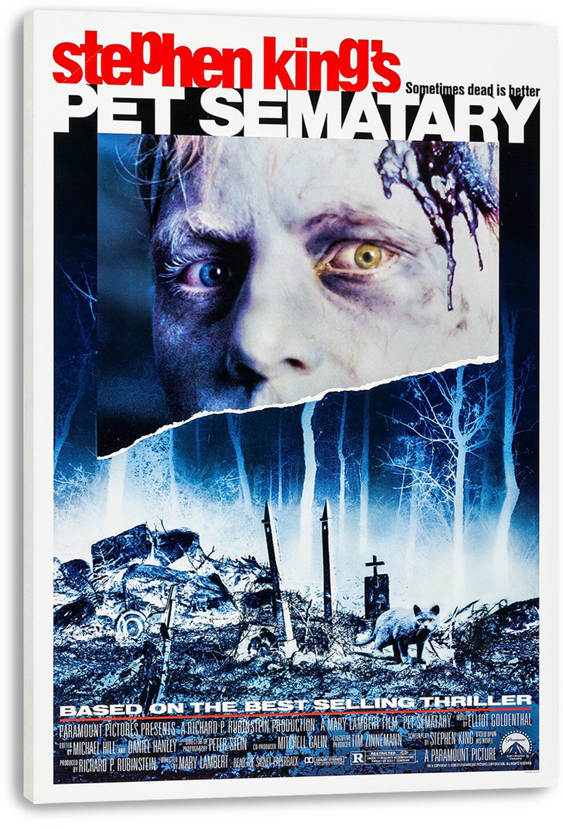 Stephen King's Pet Sematary Movie Poster Decorative Painting (paper and canvas) art poster printing print
