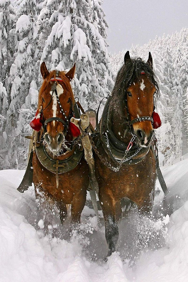 Winter Horses Sleigh Ride Decorative Painting (paper and canvas) art poster printing print