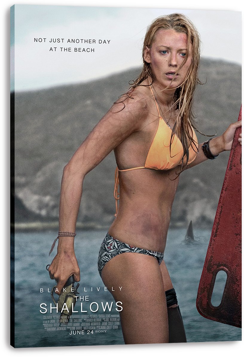 Blake Lively The Shallows Movie Poster Decorative Painting (paper and canvas) art poster printing print