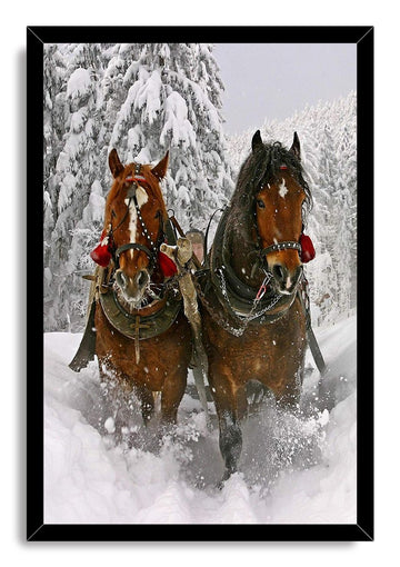 Wooden Framed Canvas