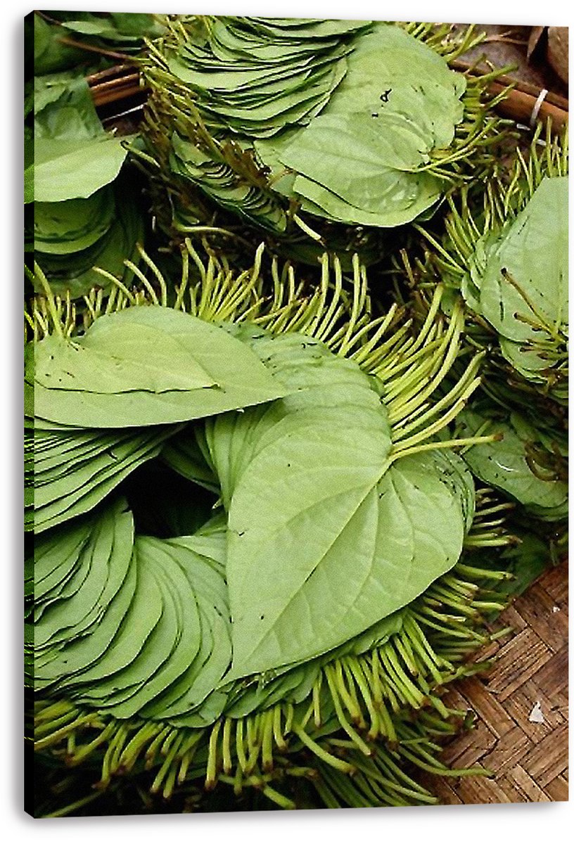 Betel Leaves Decorative Painting (paper and canvas) art poster printing print