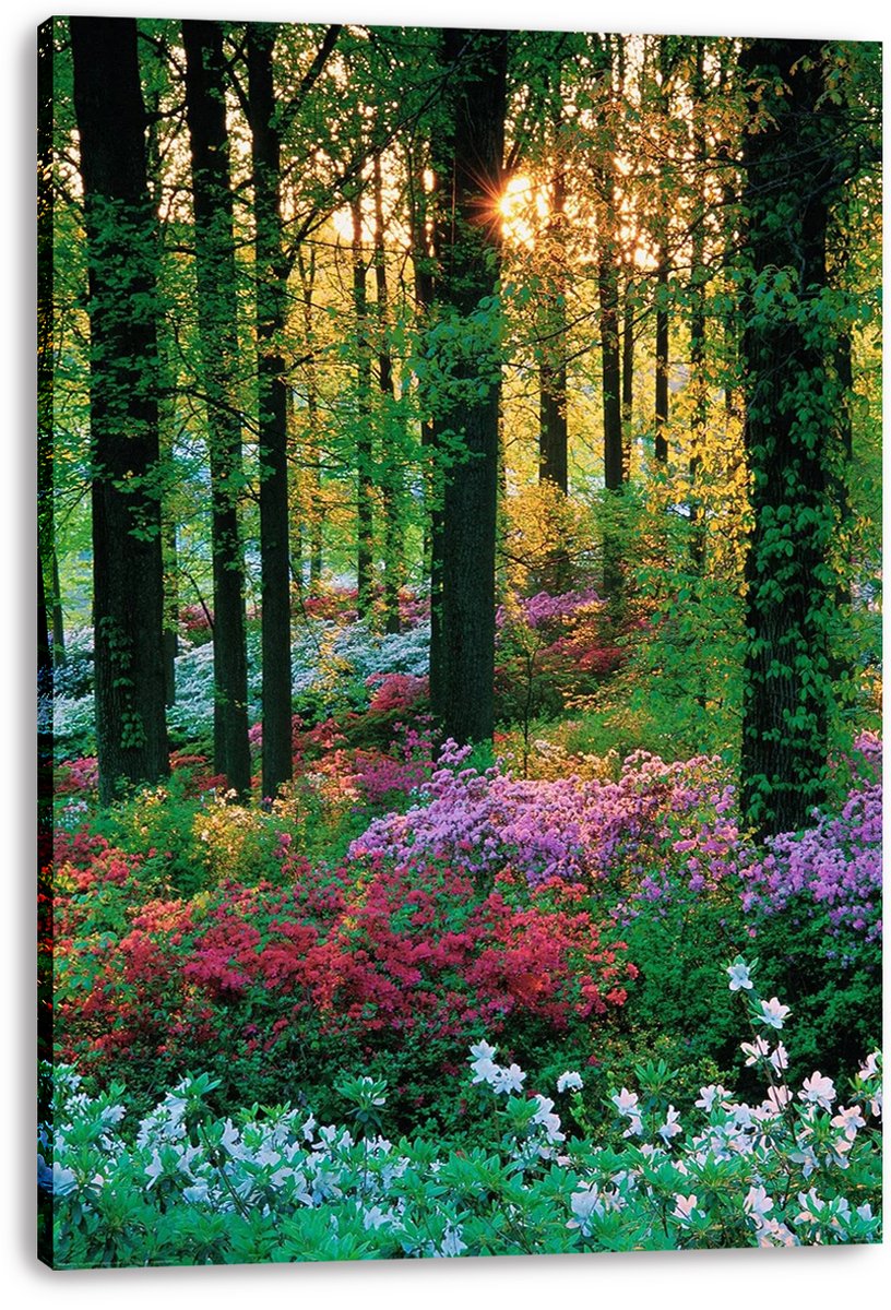 Lush Forest Bloom Decorative Painting (paper and canvas) art poster printing print