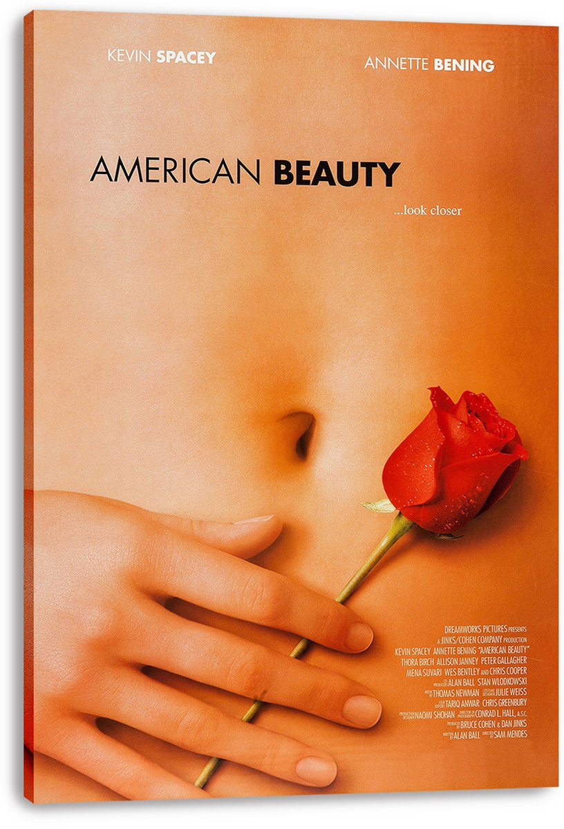 American Beauty Movie Poster Decorative Painting (paper and canvas) art poster printing print