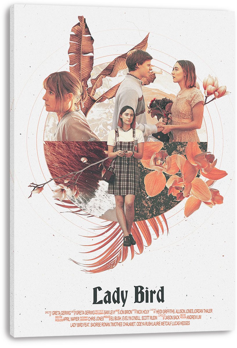 Lady Bird Movie Decorative Painting (paper and canvas) art poster printing print