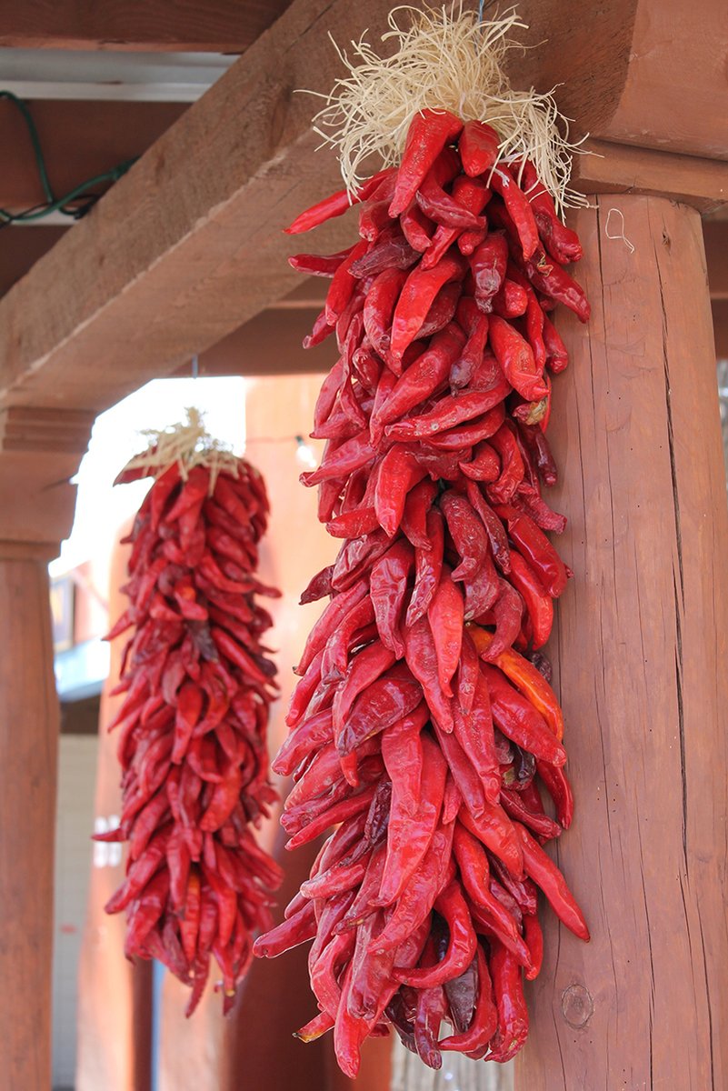 Red Chili Ristras Decorative Painting (paper and canvas) art poster printing print