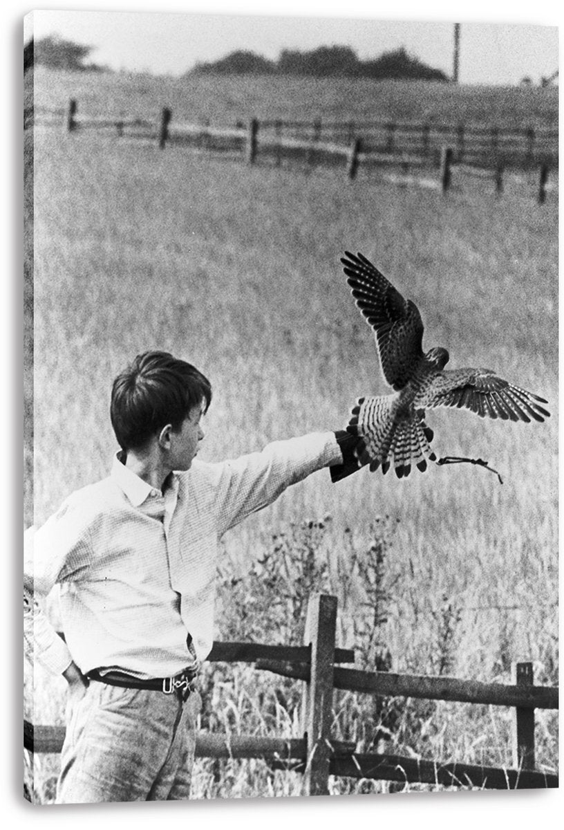 Boy and Falcon Decorative Painting (paper and canvas) art poster printing print