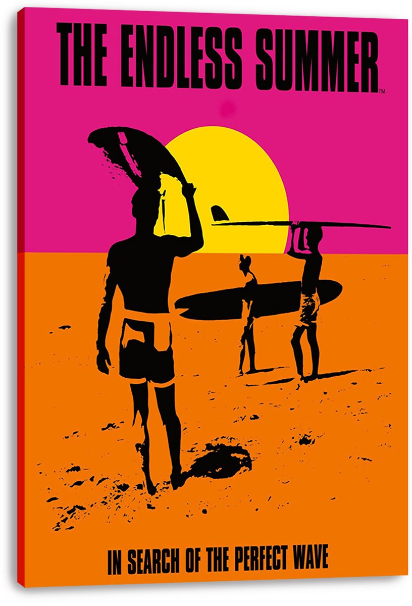 The Endless Summer Movie Decorative Painting (paper and canvas) art poster printing print