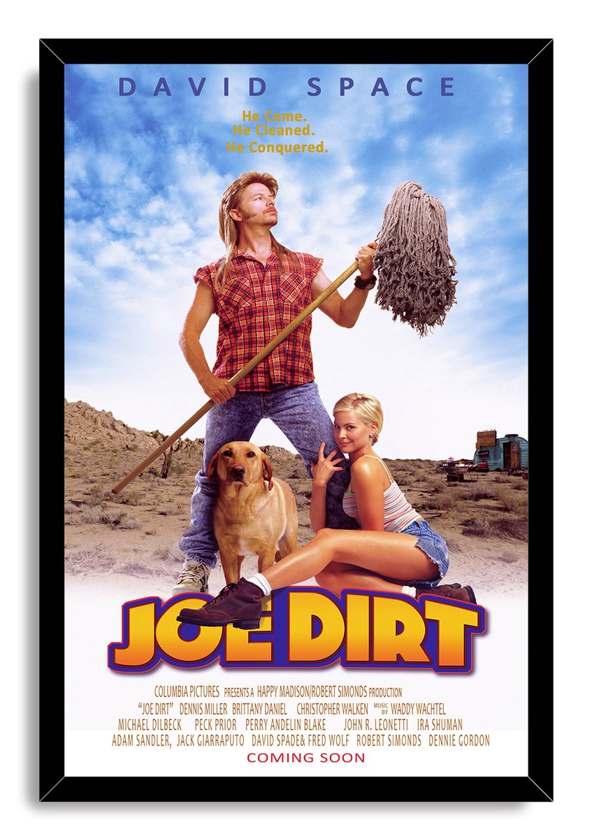 Joe Dirt Movie Poster Decorative Painting (paper and canvas) art poster printing print