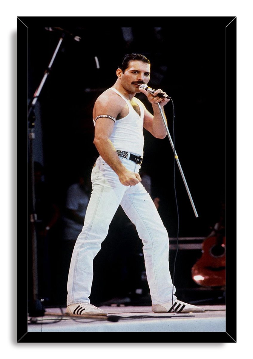 Freddie Mercury Decorative Painting (paper and canvas) art poster printing print