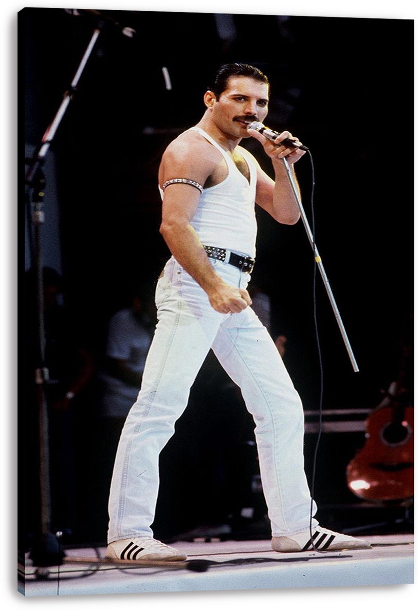 Freddie Mercury Decorative Painting (paper and canvas) art poster printing print