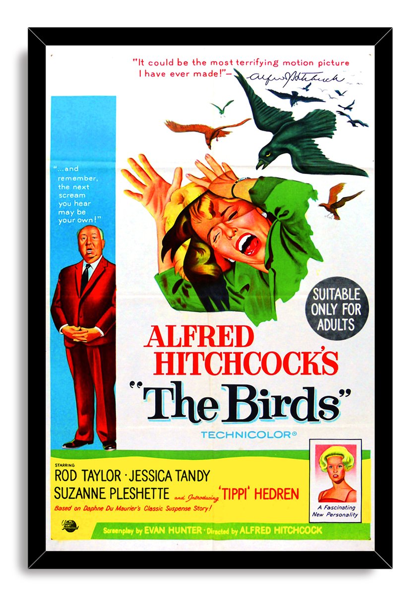 Alfred Hitchcock's The Birds Movie Poster Decorative Painting (paper and canvas) art poster printing print