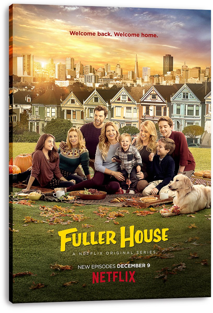 Fuller House Family Cast Decorative Painting (paper and canvas) art poster printing print