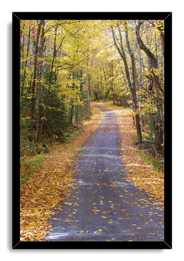 Wooden Framed Canvas