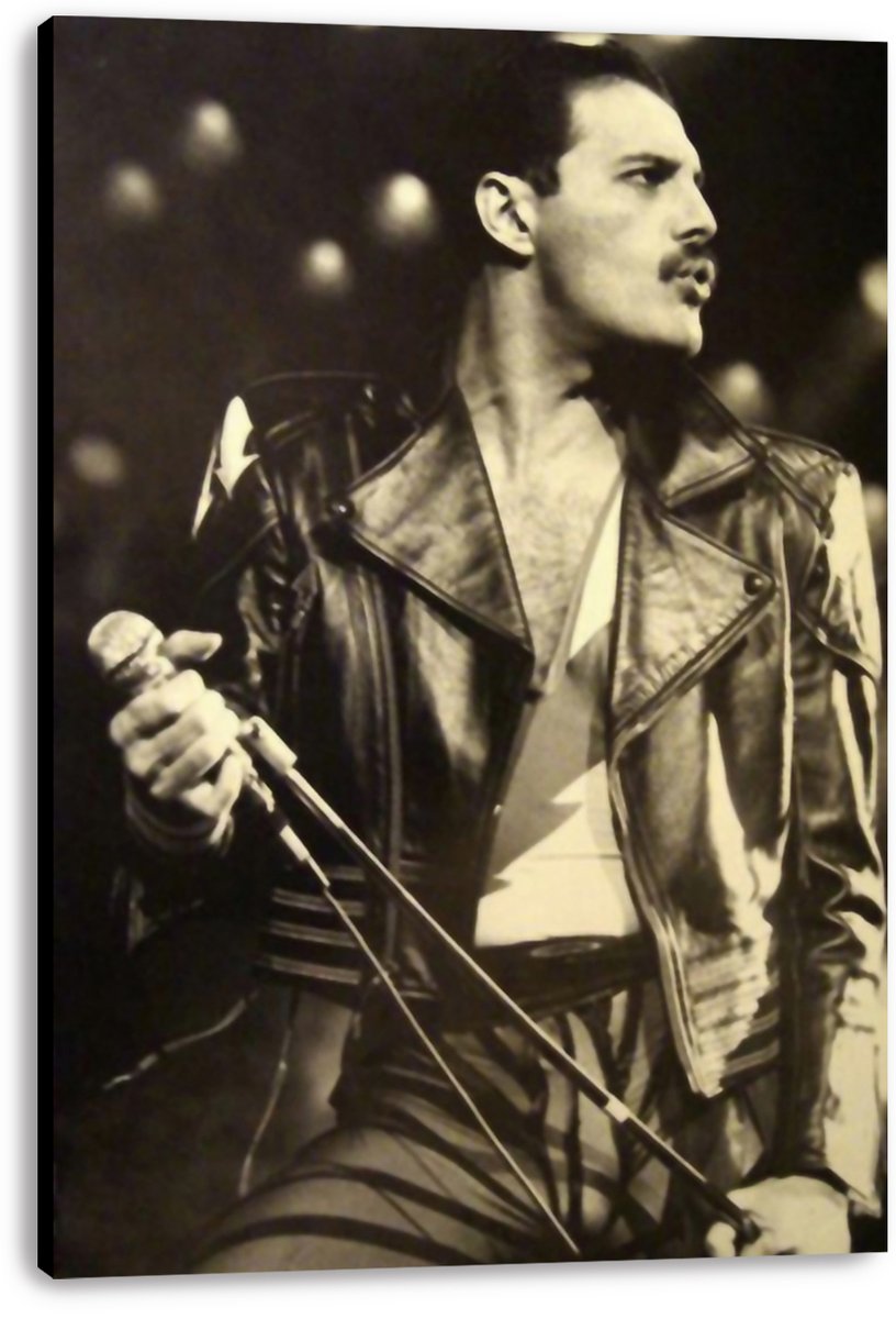 Freddie Mercury Decorative Painting (paper and canvas) art poster printing print