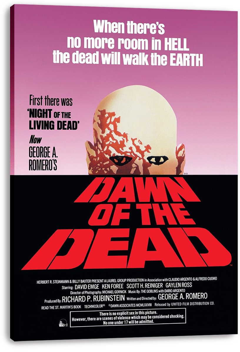 Dawn of the Dead Movie Poster Decorative Painting (paper and canvas) art poster printing print