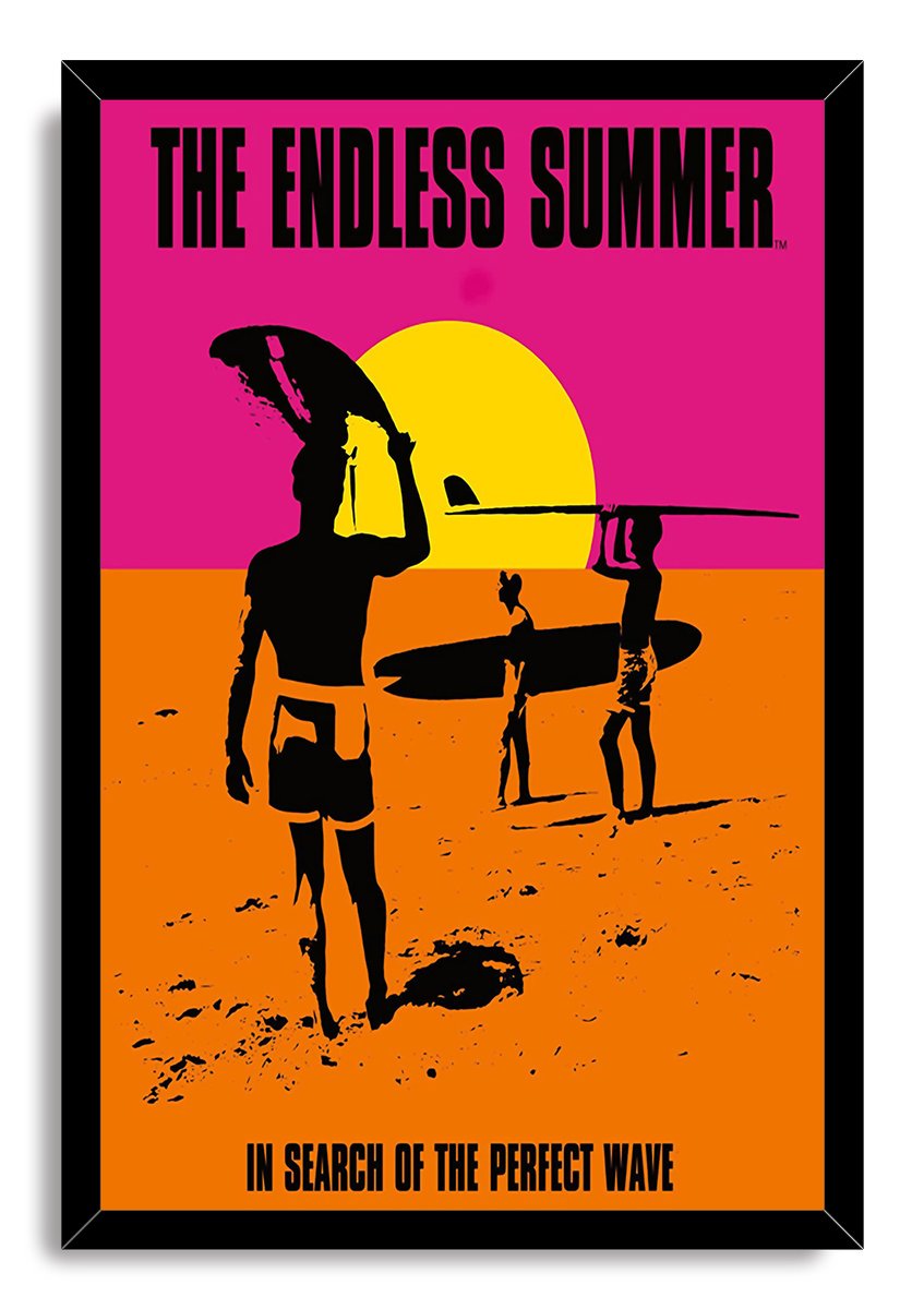 The Endless Summer Movie Decorative Painting (paper and canvas) art poster printing print