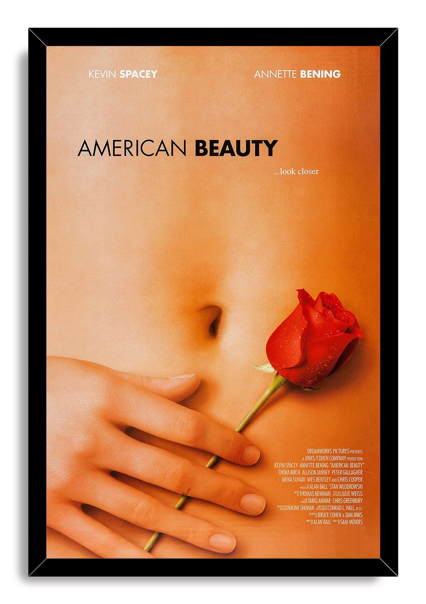American Beauty Movie Poster Decorative Painting (paper and canvas) art poster printing print