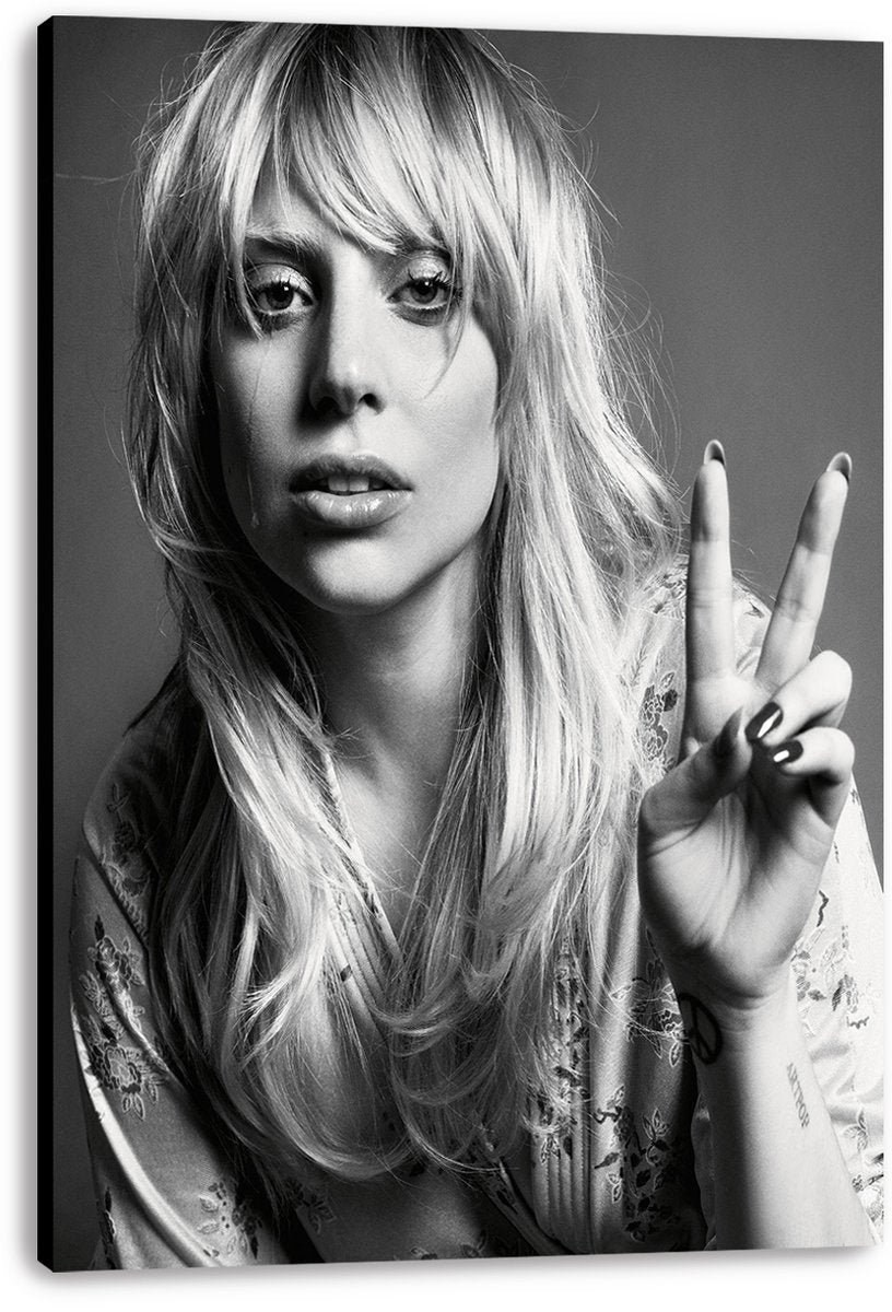 Lady Gaga Portrait Decorative Painting (paper and canvas) art poster printing print