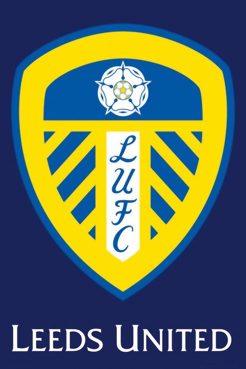 Leeds United Football Club Logo Decorative Painting (paper and canvas) art poster printing print