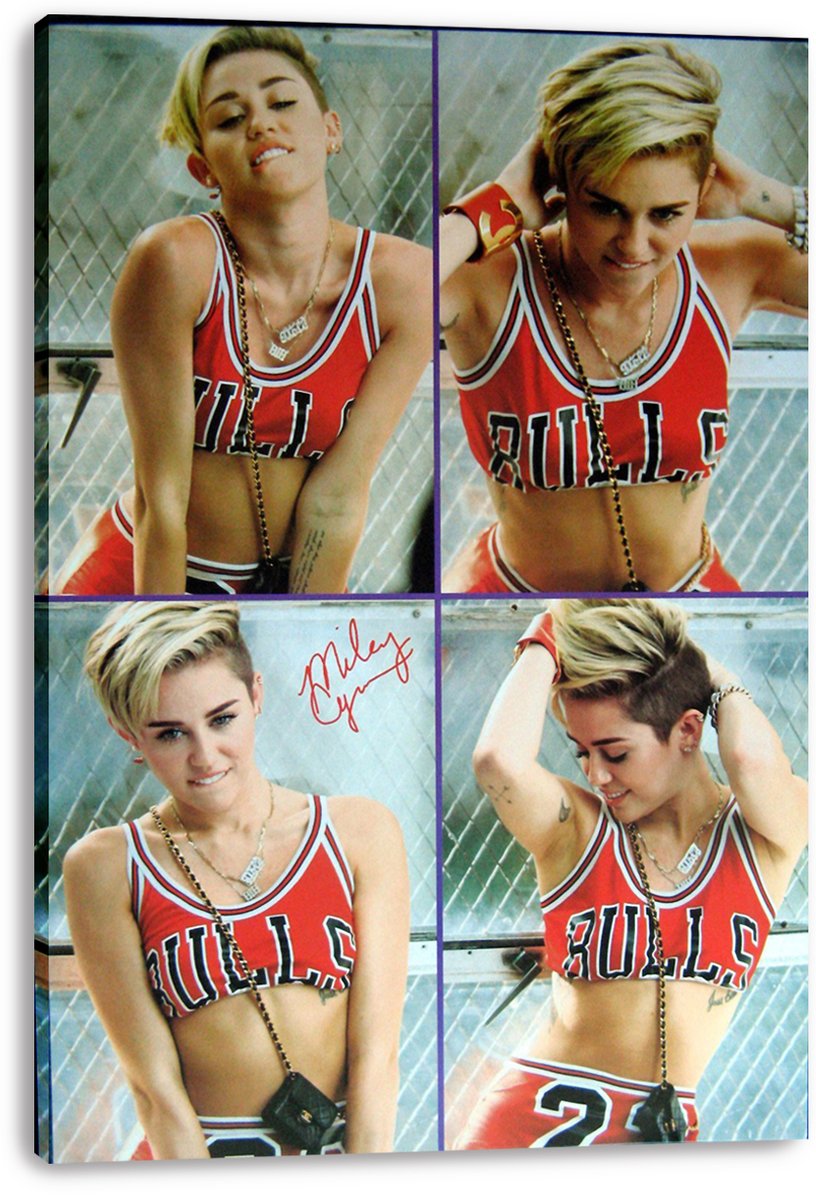 Miley Cyrus Chicago Bulls Outfit Decorative Painting (paper and canvas) art poster printing print