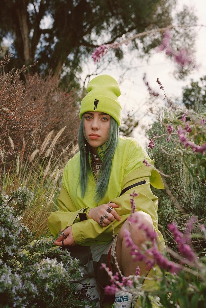 Billie Eilish Decorative Painting (paper and canvas) art poster printing print