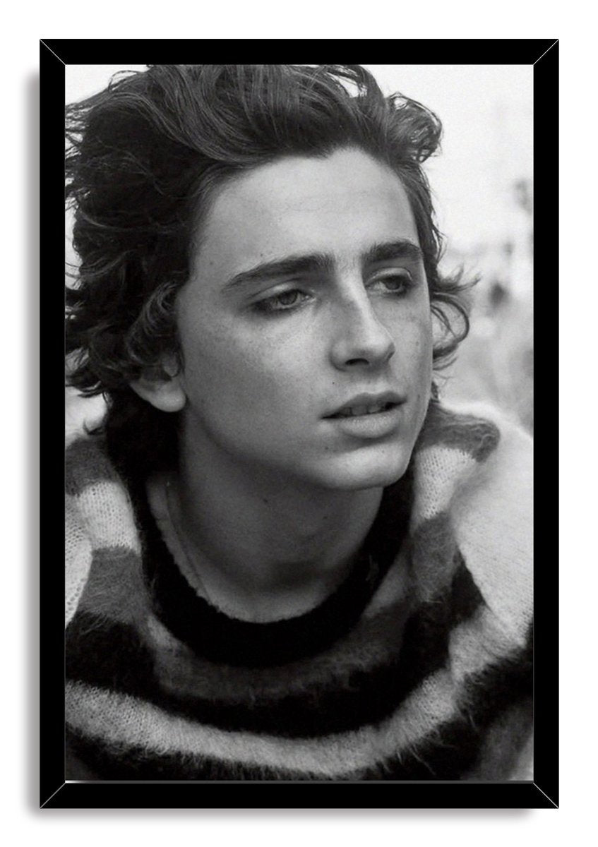Timothée Chalamet Decorative Painting (paper and canvas) art poster printing print