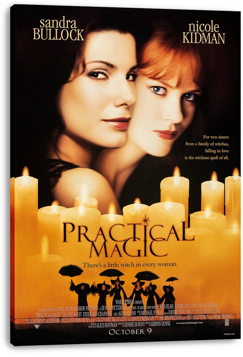 Practical Magic Movie Sandra Bullock Nicole Kidman Decorative Painting (paper and canvas) art poster printing print
