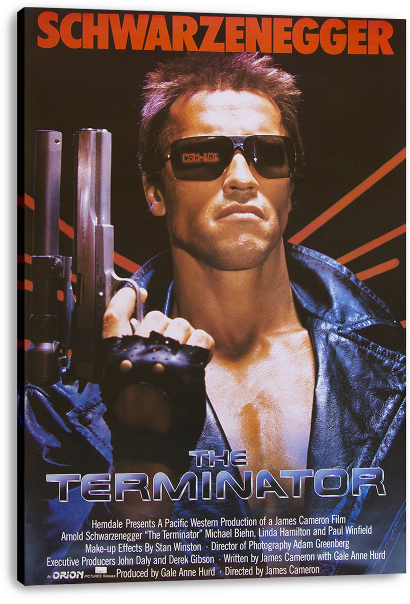 The Terminator Arnold Schwarzenegger Decorative Painting (paper and canvas) art poster printing print