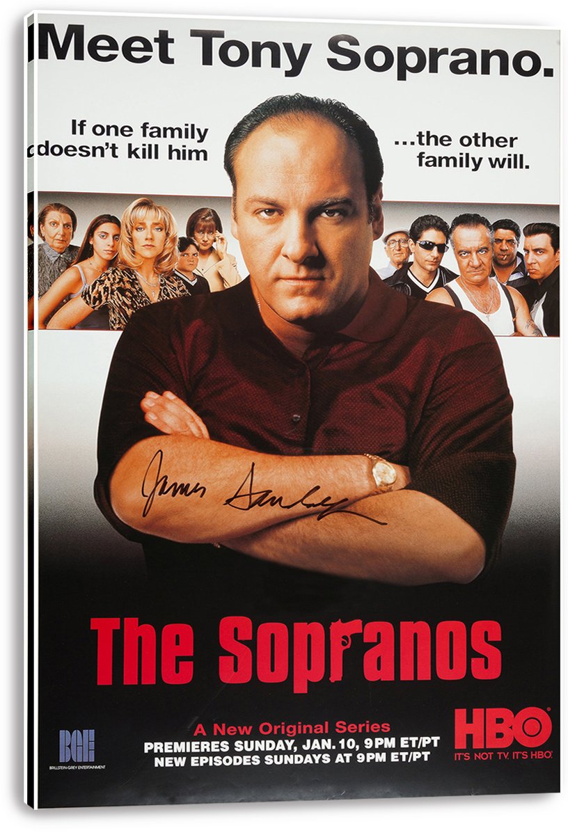 Tony Soprano The Sopranos TV Show Decorative Painting (paper and canvas) art poster printing print