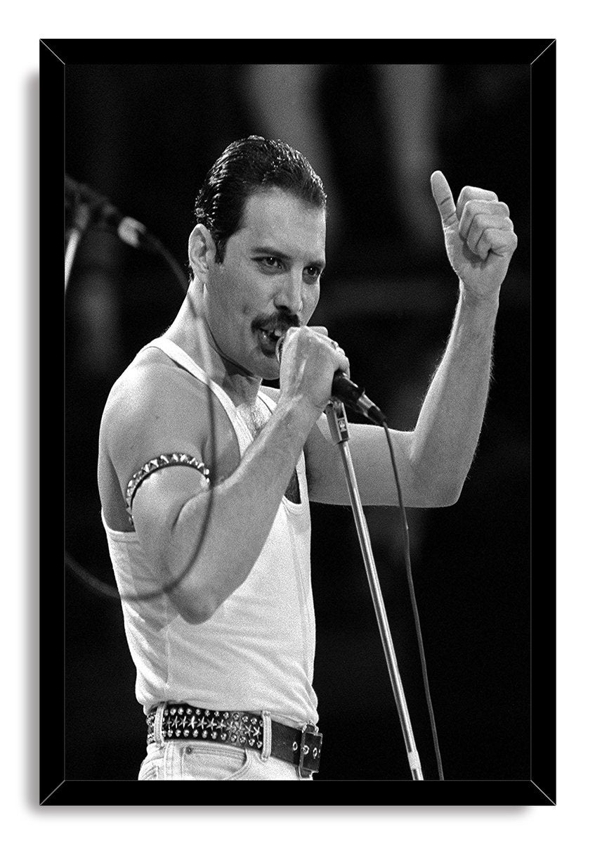 Freddie Mercury Decorative Painting (paper and canvas) art poster printing print
