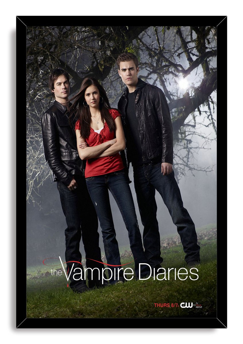 The Vampire Diaries TV Series Decorative Painting (paper and canvas) art poster printing print