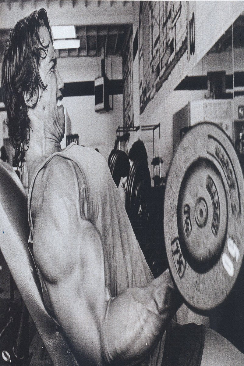 Arnold Schwarzenegger Bodybuilding Decorative Painting (paper and canvas) art poster printing print