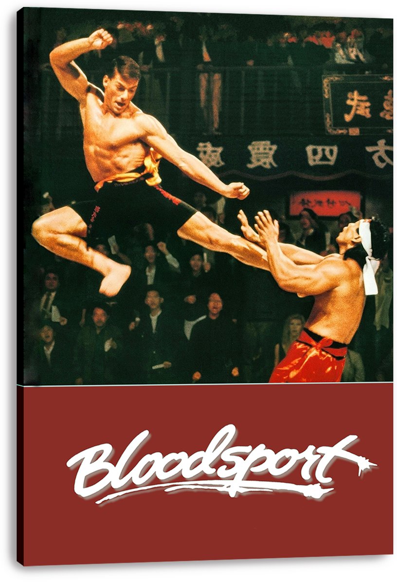 Bloodsport Movie Poster Decorative Painting (paper and canvas) art poster printing print