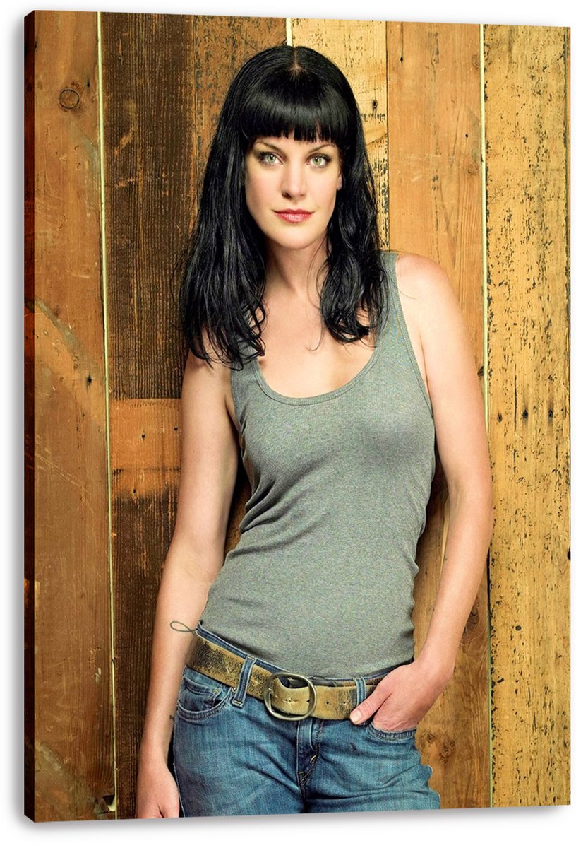 Pauley Perrette Decorative Painting (paper and canvas) art poster printing print