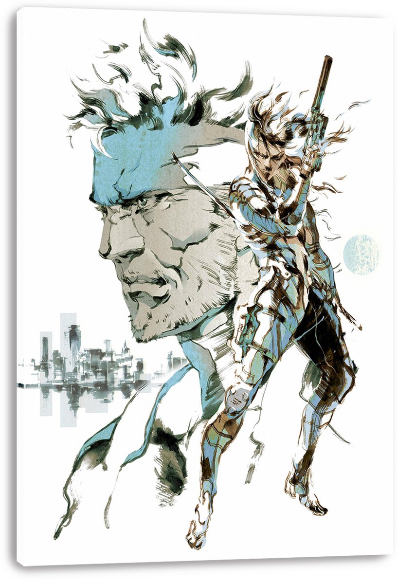 Solid Snake Raiden Metal Gear Solid Characters Decorative Painting (paper and canvas) art poster printing print