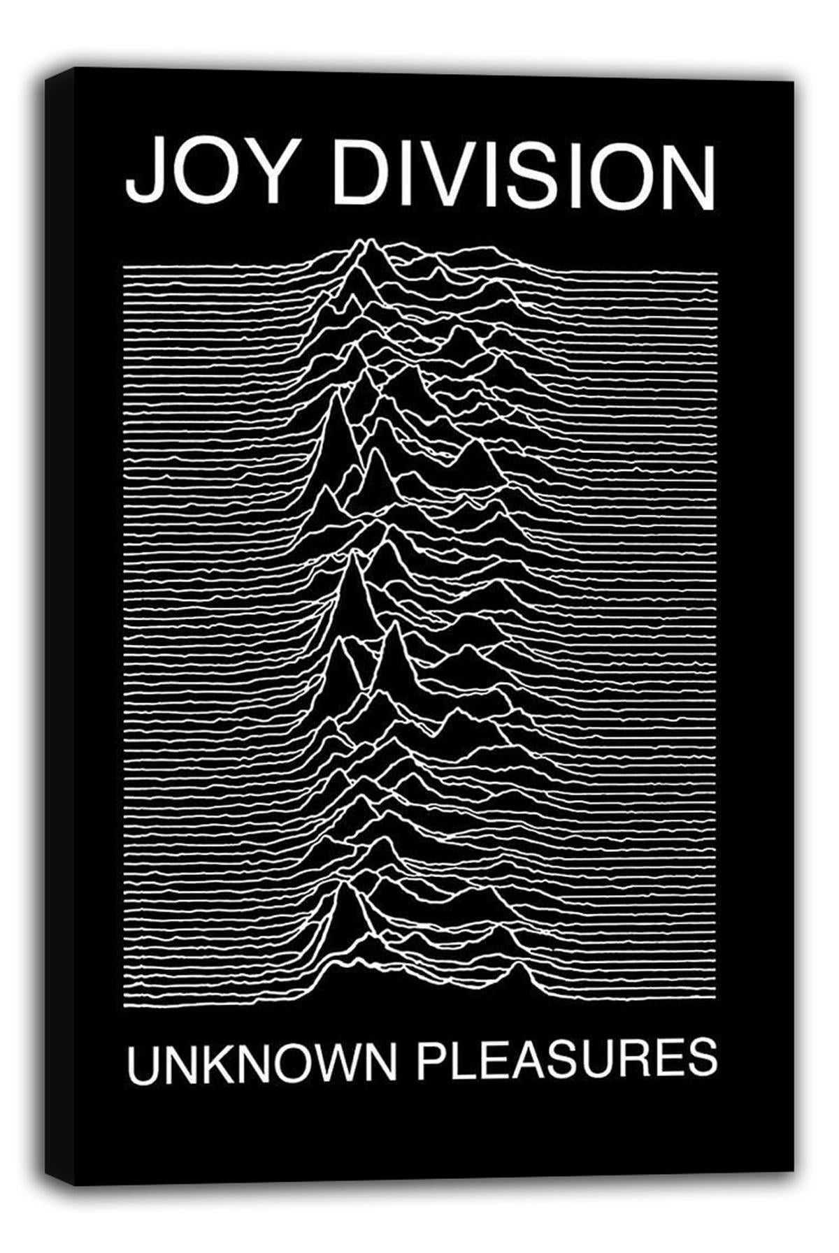 Joy Division Pleasures Poster (Paper and Canvas) Art Poster Printing Print