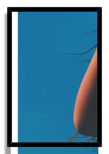 Wooden Framed Canvas