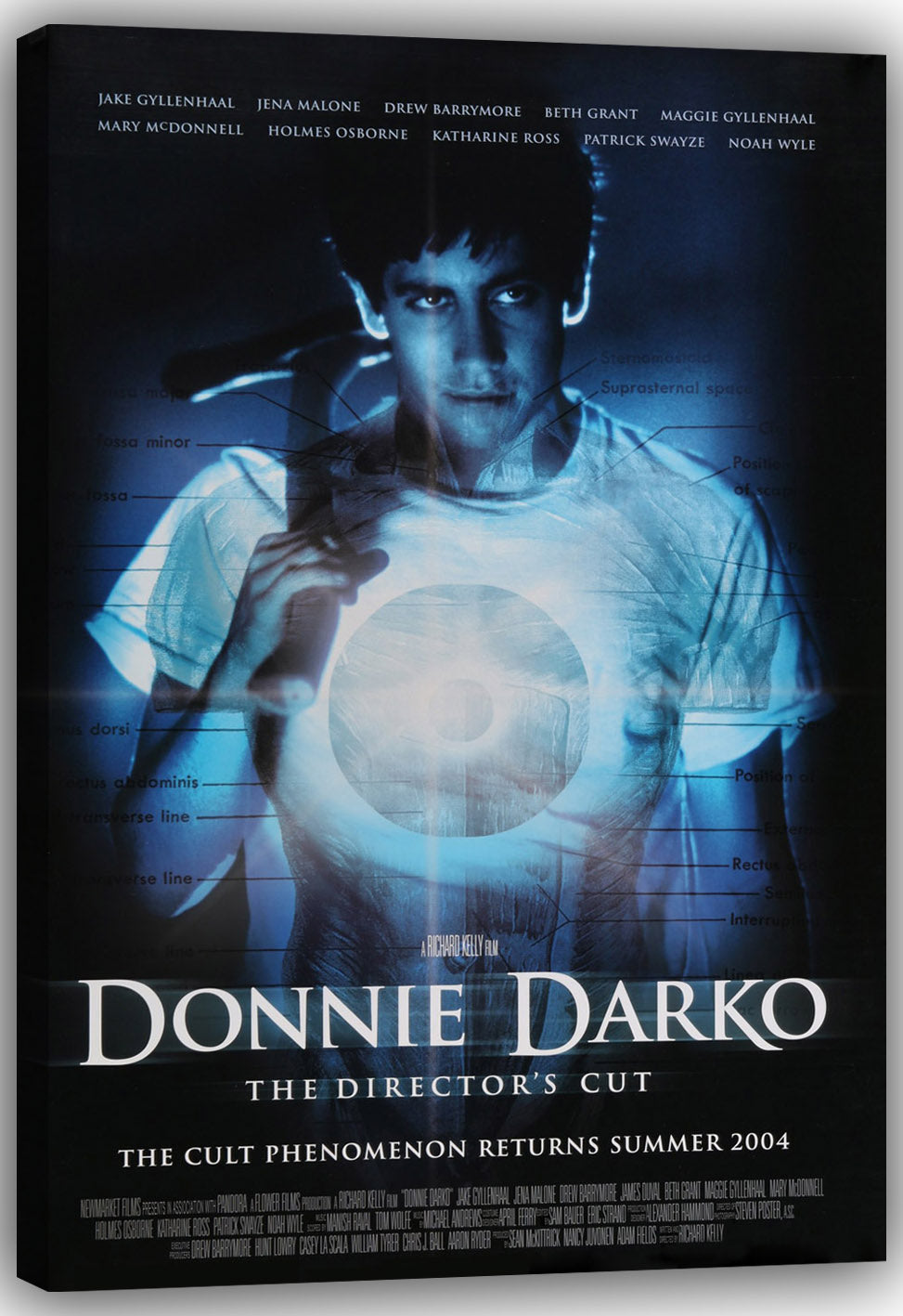 Donnie Darko Movie (paper and canvas) art poster printing print