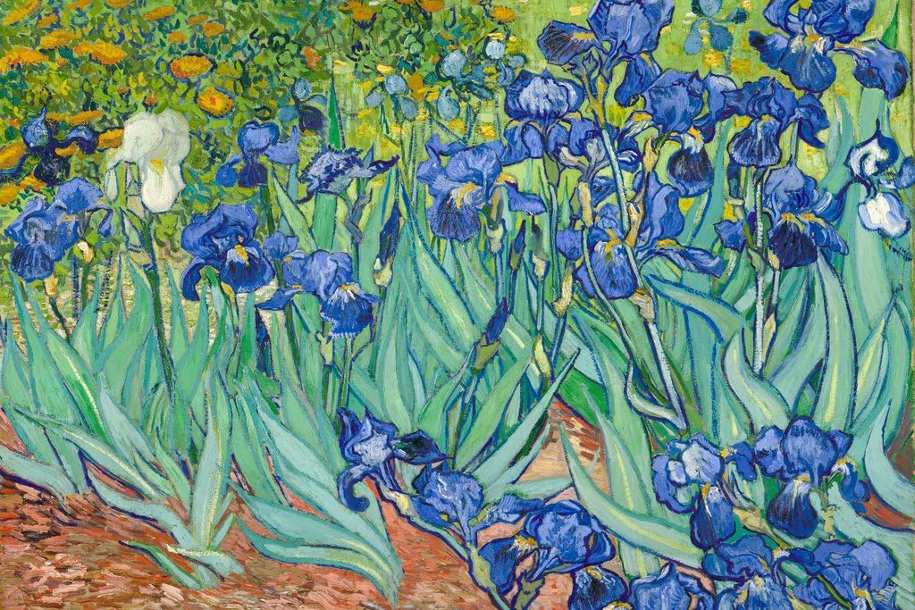 Van Gogh Irises Decoration (Paper and Canvas) Art Poster Printing Print