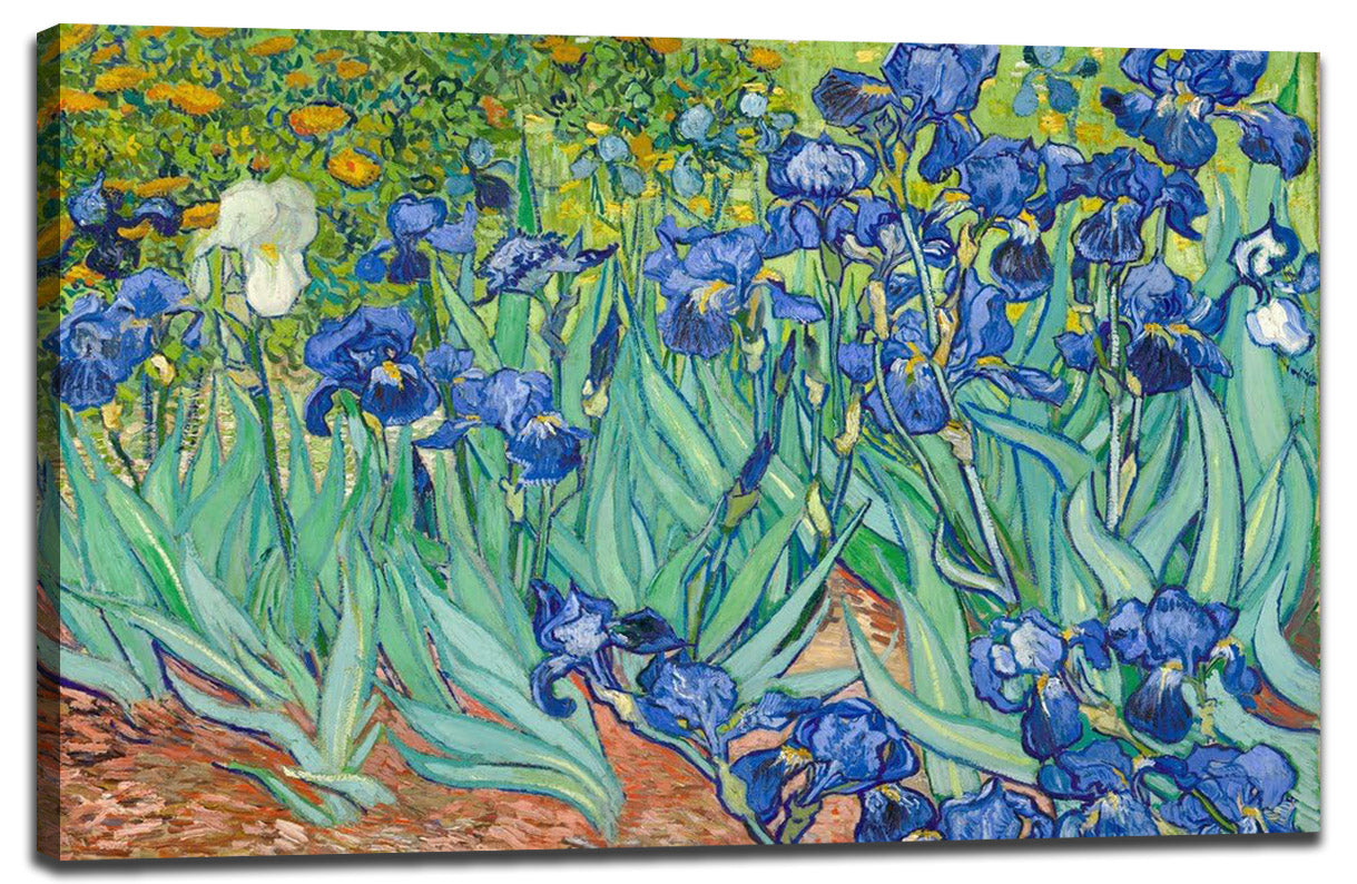 Van Gogh Irises Decoration (Paper and Canvas) Art Poster Printing Print