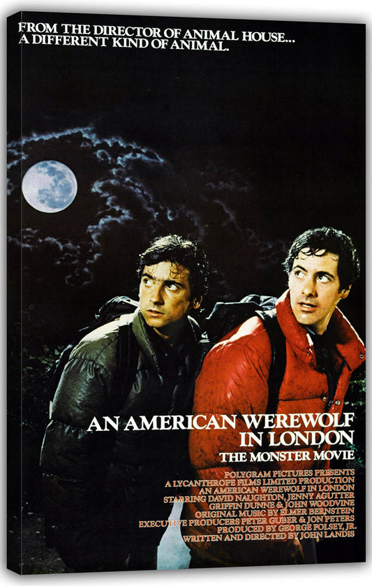 An American Werewolf in London Movies(paper and canvas) art poster printing print