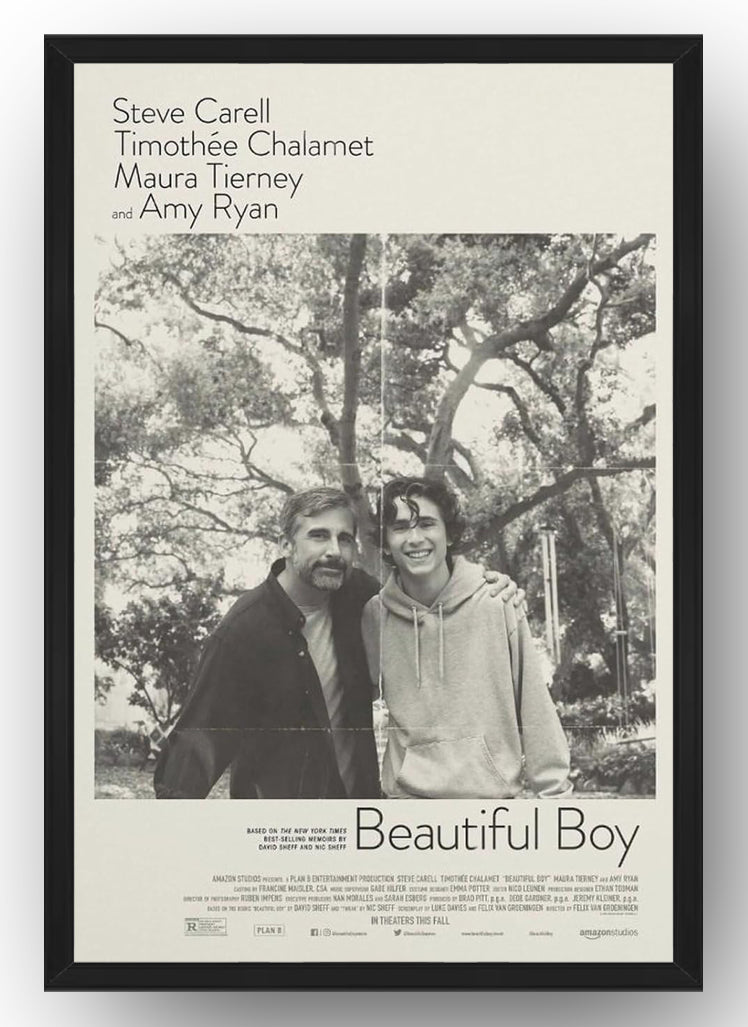 Beautiful Boy Movie Poster for Bedroom Aesthetic Wall Decor (Paper and Canvas) Art Poster Printing Print