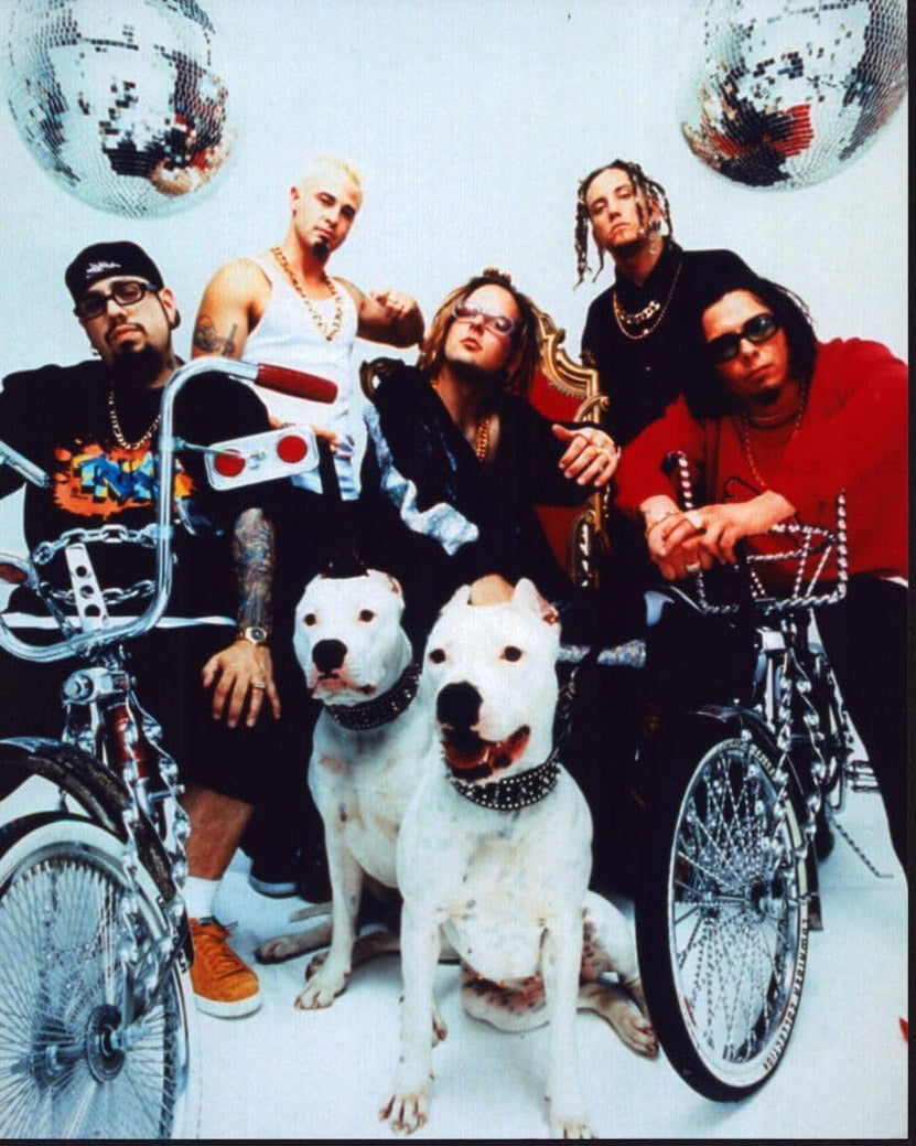 Korn Group With Two White Dogs Music (Paper and Canvas) Art Poster Printing Print
