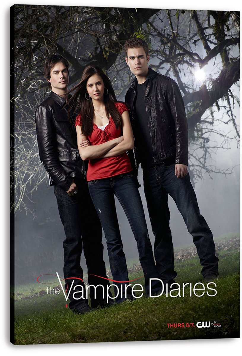 The Vampire Diaries TV Series Decorative Painting (paper and canvas) art poster printing print