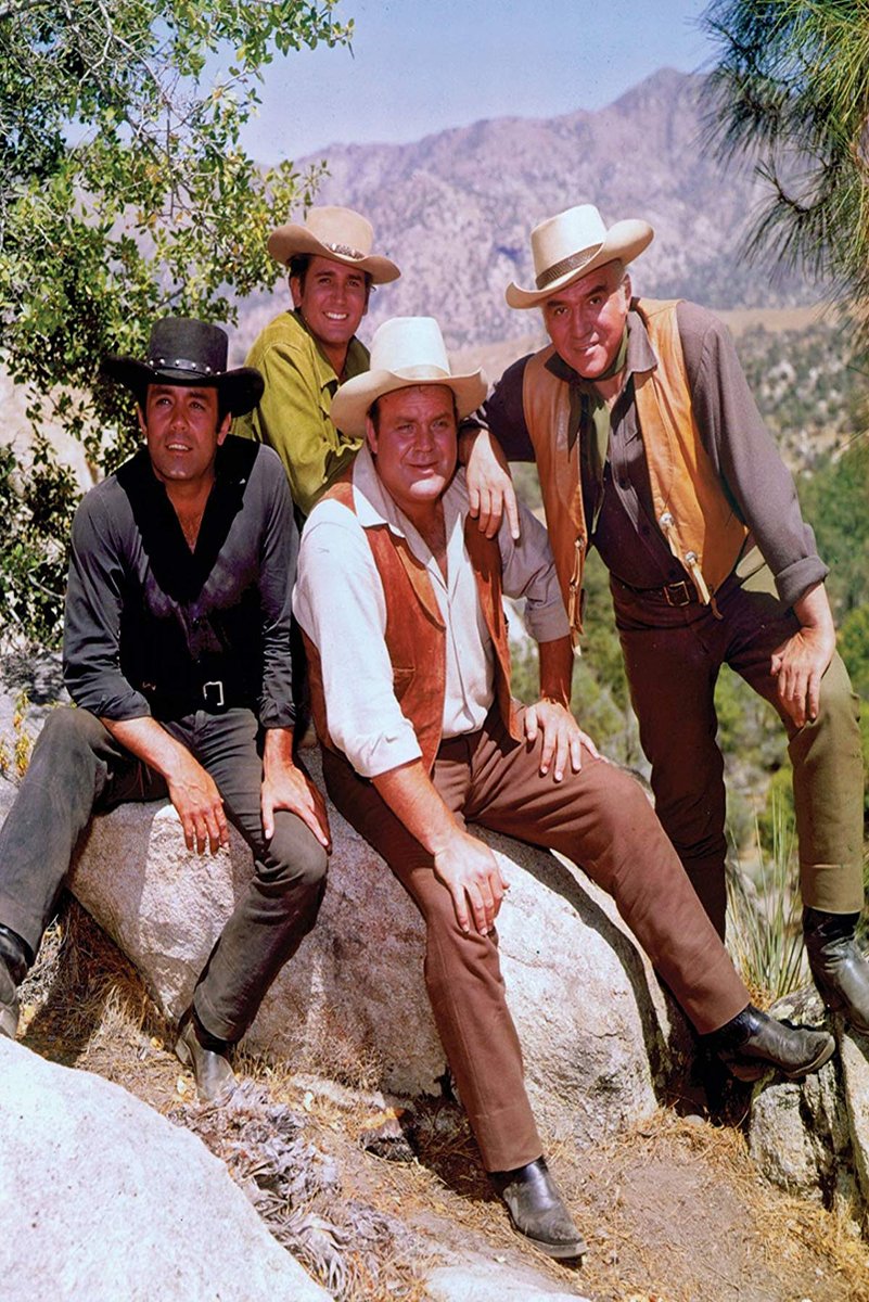 Bonanza TV Show Cast Decorative Painting (paper and canvas) art poster printing print