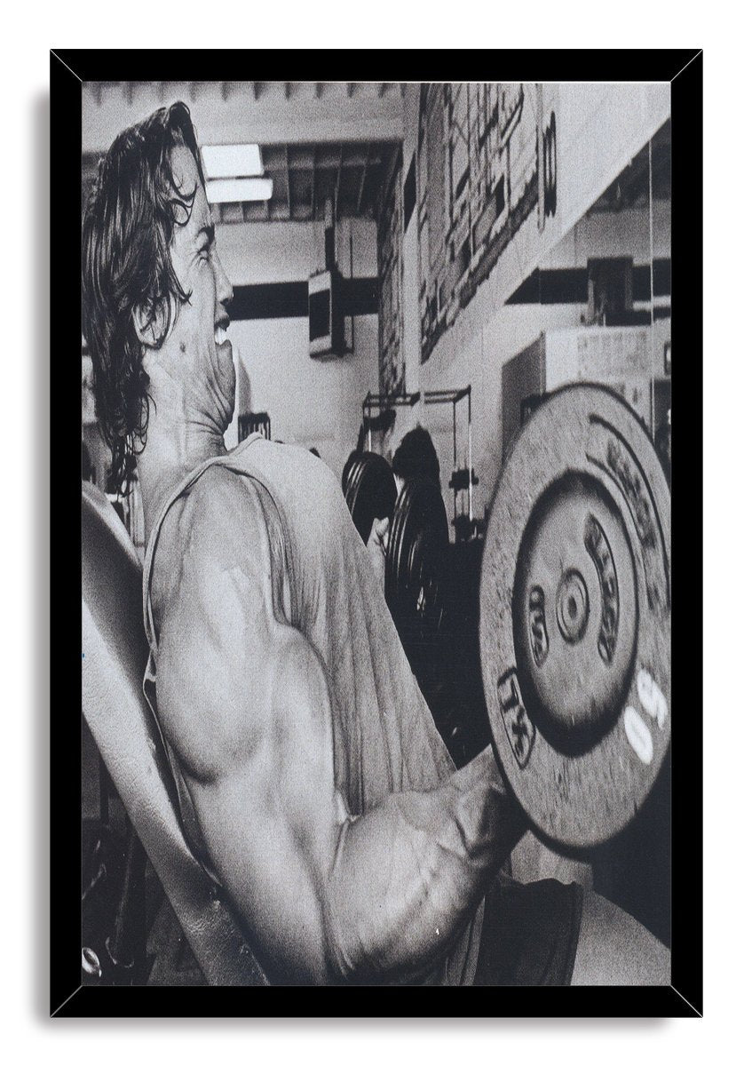 Arnold Schwarzenegger Bodybuilding Decorative Painting (paper and canvas) art poster printing print