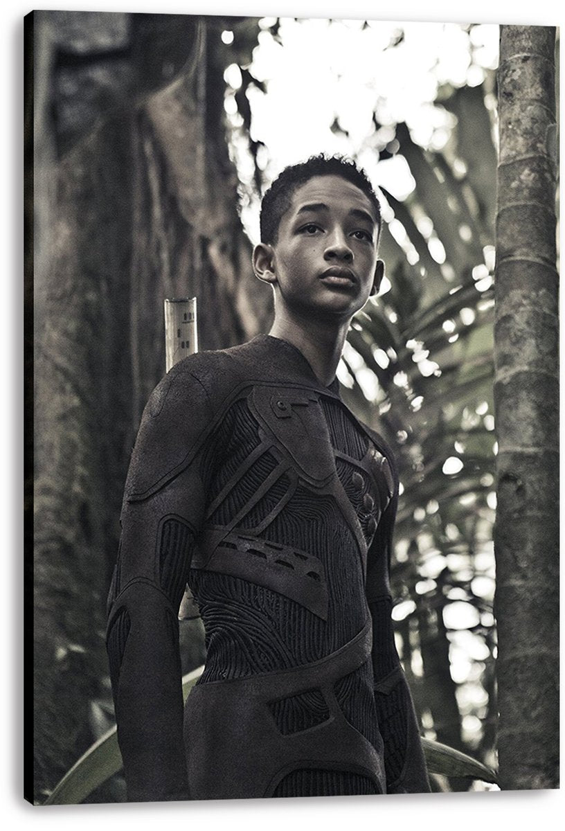 Jaden Smith After Earth Decorative Painting (paper and canvas) art poster printing print