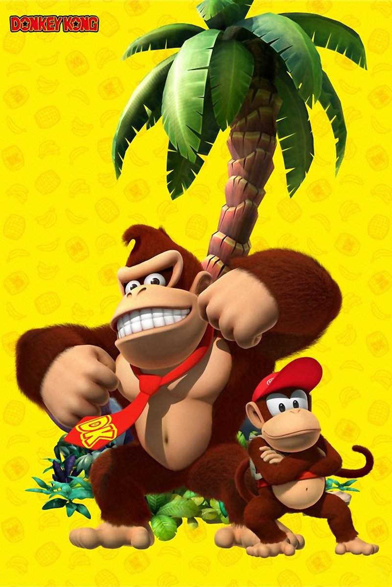 Donkey Kong and Diddy Kong Decorative Painting (paper and canvas) art poster printing print